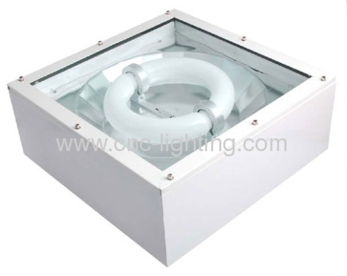 induction explosion proof light