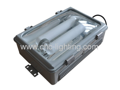 low bay induction fixture