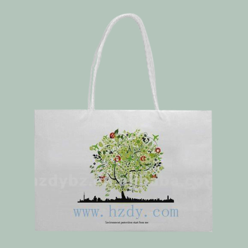 ECO-friendly paper bagshopping bag