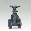 Flanged End Gate valves 150Lb~1500Lb