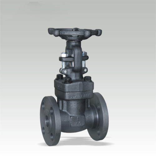 Gate valves Gate valve