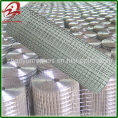 1/4 inch galvanized welded wire mesh