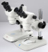 Setreo Microscope