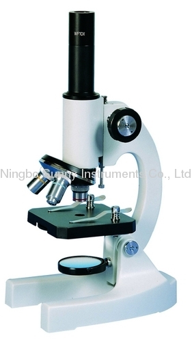 P series biological microscope