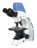 DMEX20 digital biological microscope