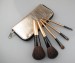 5PCS Gold color Makeup Brush set