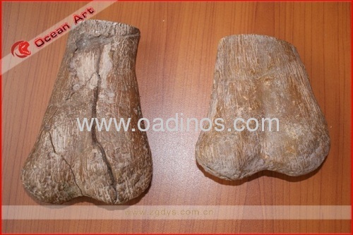 Resin joint fossil of dinosaur