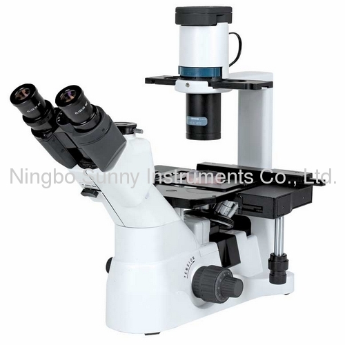 XD30 Series inverted biological microscope