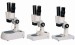 S10 series stereo microscope