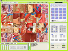 Digital microscope interactive laboratory-Anatomy edition
