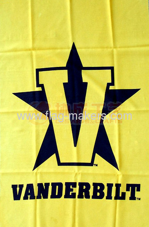 Custom Vander Bilt flag