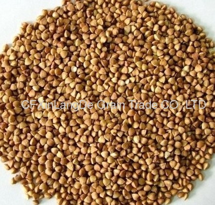2012 new roasted buckwheat kernel