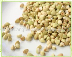 new buckwheat in China
