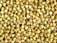 buckwheat kernels