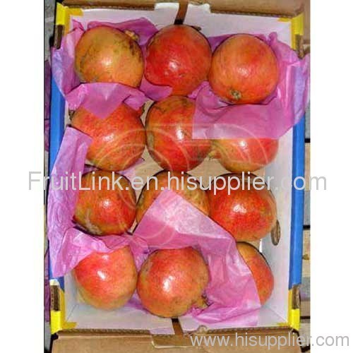 Fresh Pomegranate Fruit Dates Citrus