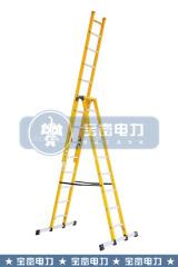 Telescopic Ladder