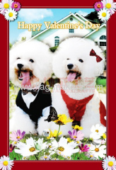 Custom lovely dog garden flags