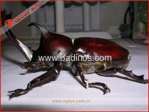 Outdoor Fiberglass insects model
