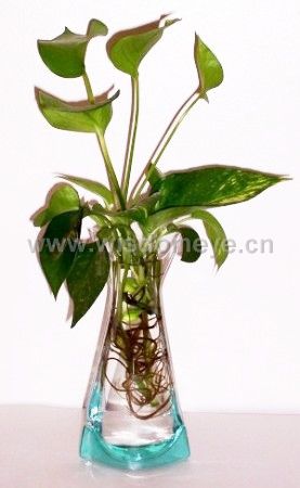 PVC vase for flower