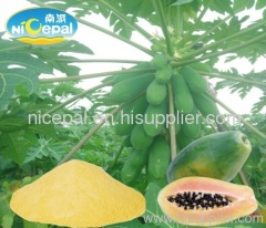 Papaya powder