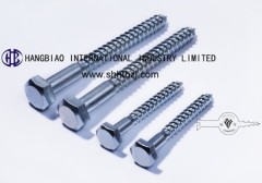 DIN571 Hex Head Wood Screw