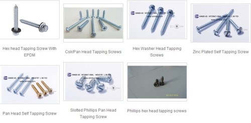 Self Tapping Screw(screws manufacturer)