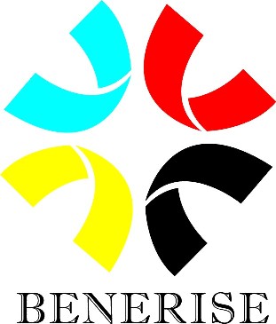 Benerise Technology Co., Ltd.
