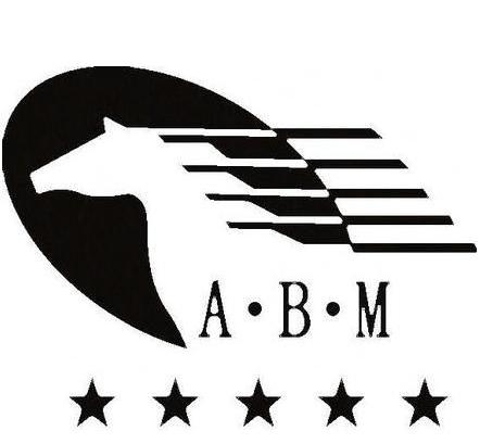 China ABM Machinery Co., Ltd