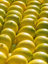 Fresh Yellow Lemons