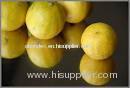 Fresh Yellow Limes