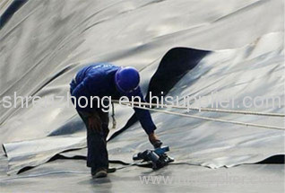 PE Geomembrane