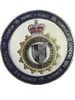 customed Police design Zinc alloy metal pin badges with filling colors and Nickel finish