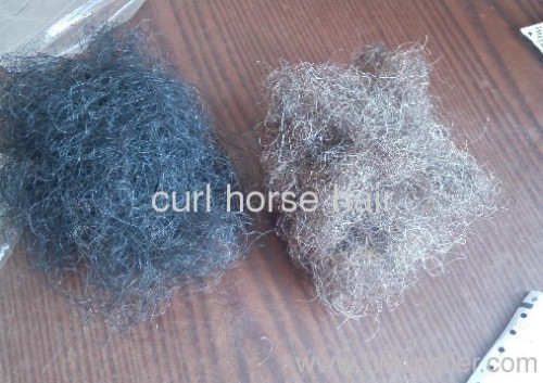 curl horse hair for filling in bed