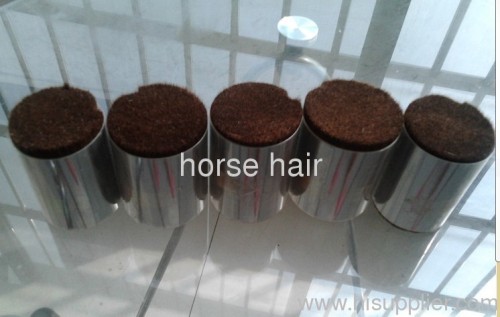 dressed brown horse body hair