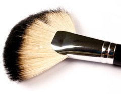 High Quality Racoon Hair Fan Blush Brush