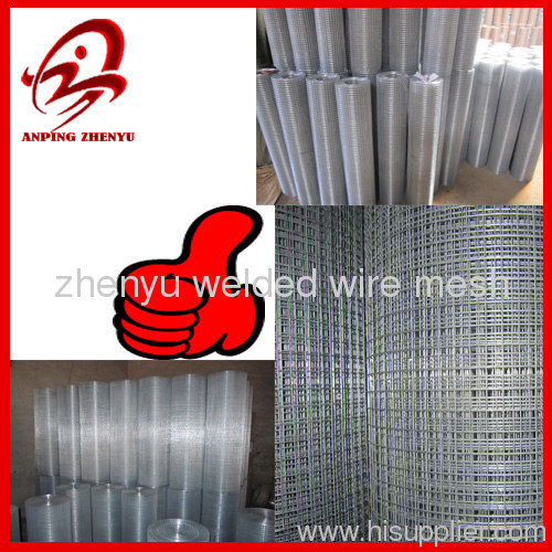 professional weld wire mesh(factory)