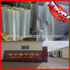 Metal Welded Wire Mesh