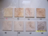 China travertine paving tile