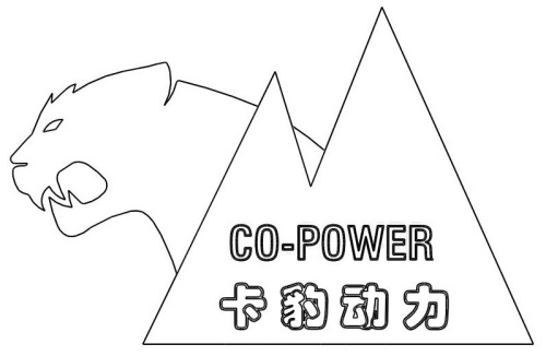 WuXi Co-Power Technology Co., Ltd.