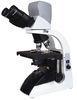 Binocular Biological Digital Optical Microscope with Infinite Optical System