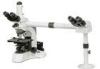 Multi-Head Microscope with Infinite Optical System, Multi-Viewing Educational Microscopes