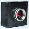 USB2.0 CMOS Colorful / Mono Industrial Digital Camera with Frame Buffer