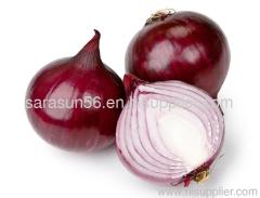 fresh red onion