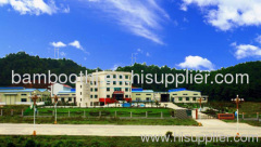 Hunan Taohuajiang Industry Co., Ltd.