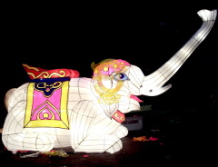 Cute animal lanterns for public show