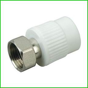 PPR Thread Coupling with Brass Union Pipe Fitting