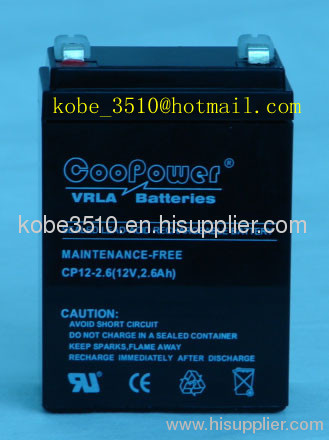 Lead acid battery 12V0.8AH