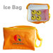 Promotiona Ice Cooler Bags