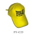 Promotional cap