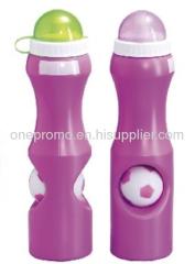 Promotional Water Bottle